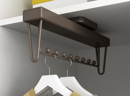 Pull-out hanging rail